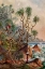 Picture of PANDANUS BEI MATURA SMUSEUMAUBENPALMEN AN DER SUDKUSTE VON CEYLON