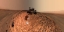 Picture of CURIOSITY SELF-PORTRAIT AT BUCKSKIN DRILLING SITE ON MOUNT SHARP