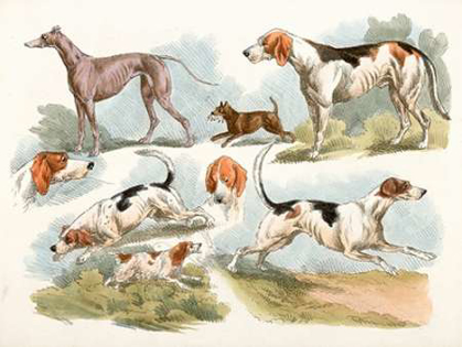 Picture of HUNTING DOGS, 1817
