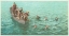 Picture of DIVING FOR COINS, SANTA CATALINA, CALIF., 1898