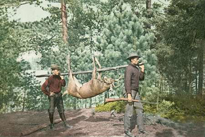 Picture of HUNTING, ADIRONDACKS, N.Y., 1898