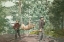 Picture of HUNTING, ADIRONDACKS, N.Y., 1898