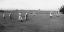 Picture of EIGHT BOYS WITH A BALL AND FOUR BATS, PLAYING FOUR OLD CAT
