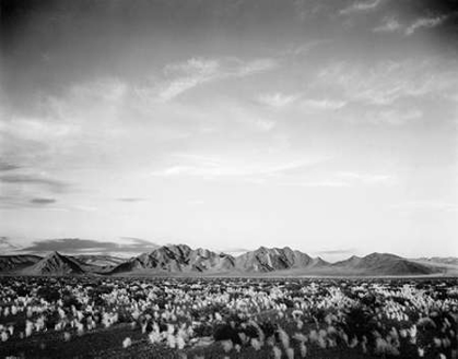 Picture of DISTANT MOUNTAINS: DESERT AND SHRUBS IN FOREGROUND NEAR DEATH VALLEY NATIONAL MONUMENT, CALIFORNIA -