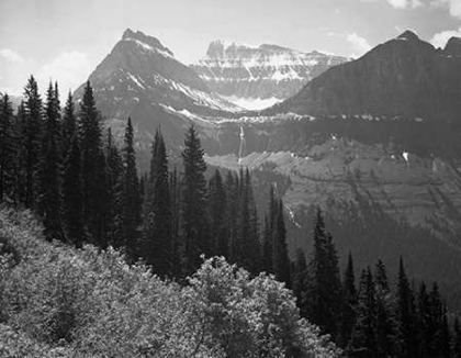 Picture of TREES, BUSHES AND MOUNTAINS, GLACIER NATIONAL PARK, MONTANA - NATIONAL PARKS AND MONUMENTS, 1941