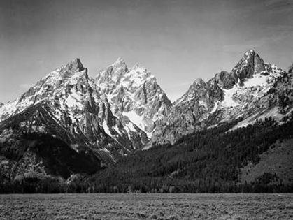 Picture of GRASSY VALLEY AND SNOW COVERED PEAKS, GRAND TETON NATIONAL PARK, WYOMING, 1941