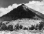 Picture of PINCHOT PASS, MT. WYNNE, KINGS RIVER CANYON, PROVINTAGEED AS A NATIONAL PARK, CALIFORNIA, 1936