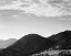Picture of VIEW OF HILL WITH TREES, CLOUDED SKY, IN ROCKY MOUNTAIN NATIONAL PARK, COLORADO, CA. 1941-1942
