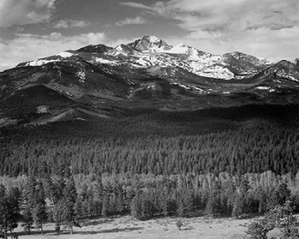 Picture of TREES IN FOREGROUND, SNOW COVERED MOUNTAIN IN BACKGROUND, IN ROCKY MOUNTAIN NATIONAL PARK, COLORADO,