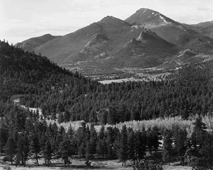 Picture of VIEW WITH TREES IN FOREGROUND, BARREN MOUNTAINS IN BACKGROUND, IN ROCKY MOUNTAIN NATIONAL PARK, COLO
