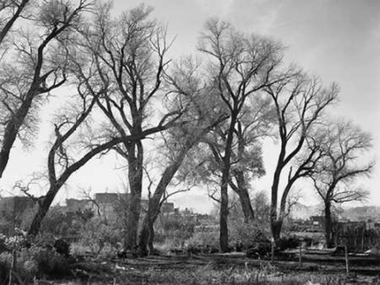 Picture of AT TAOS PUEBLO NATIONAL HISTORIC LANDMARK, NEW MEXICO, CA. 1941-1942