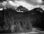 Picture of VIEW OF STREAMSIDE TREES AND SNOW ON MOUNTAINS - NORTHEAST PORTION, YELLOWSTONE NATIONAL PARK, WYOMI