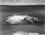 Picture of THE FISHING CONE - YELLOWSTONE LAKE, YELLOWSTONE NATIONAL PARK, WYOMING, CA. 1941-1942