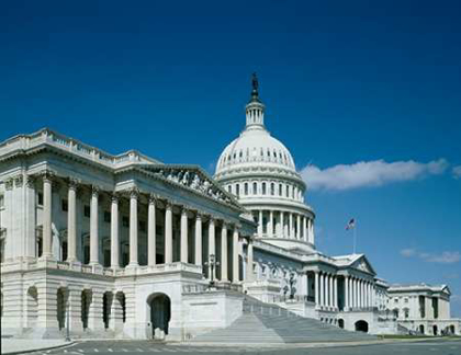 Picture of U.S. CAPITOL, WASHINGTON, D.C.