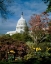 Picture of U.S. CAPITOL, WASHINGTON, D.C. NUMBER 3