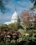 Picture of U.S. CAPITOL, WASHINGTON, D.C. NUMBER 3 - VINTAGE STYLE PHOTO TINT VARIANT