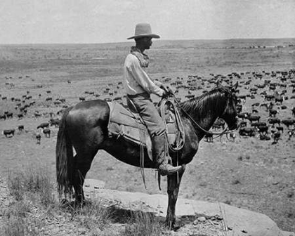 Picture of A TEXAS COWBOY, 1907