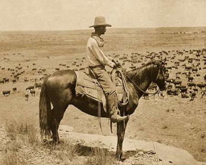 Picture of A TEXAS COWBOY, 1907 - SEPIA