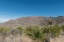 Picture of SCENERY IN BIG BEND NATIONAL PARK, TX