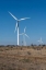Picture of WIND TURBINES IN SHACKELFORD COUNTY, TX, NORTHEAST OF ABILENE