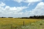 Picture of A FIELD OF WILDFLOWERS NEAR CHAPPEL HILL IN AUSTIN COUNTY, TX, 2014