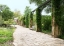 Picture of PAVED WALKWAY AT THE LADY BIRD JOHNSON WILDFLOWER CENTER, NEAR AUSTIN, TX