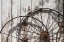 Picture of OLD WAGON WHEELS AGAINST A SHED IN BUFFALO GAP HISTORIC VILLAGE, NEAR ABILENE, TX