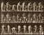 Picture of MOTION STUDY: WOODWORK