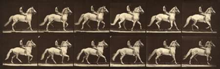 Picture of MOTION STUDY: MAN RIDING A HORSE