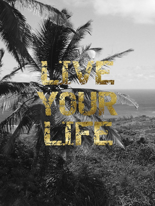 Picture of LIVE YOUR LIFE