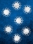 Picture of INDIGO SKY 1