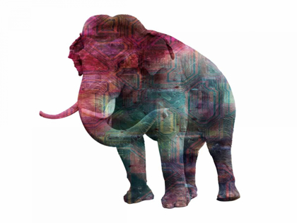 Picture of ELEPHANT MEMORY IN COLOR