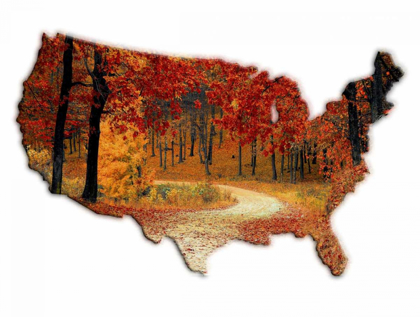 Picture of FALL TIME USA