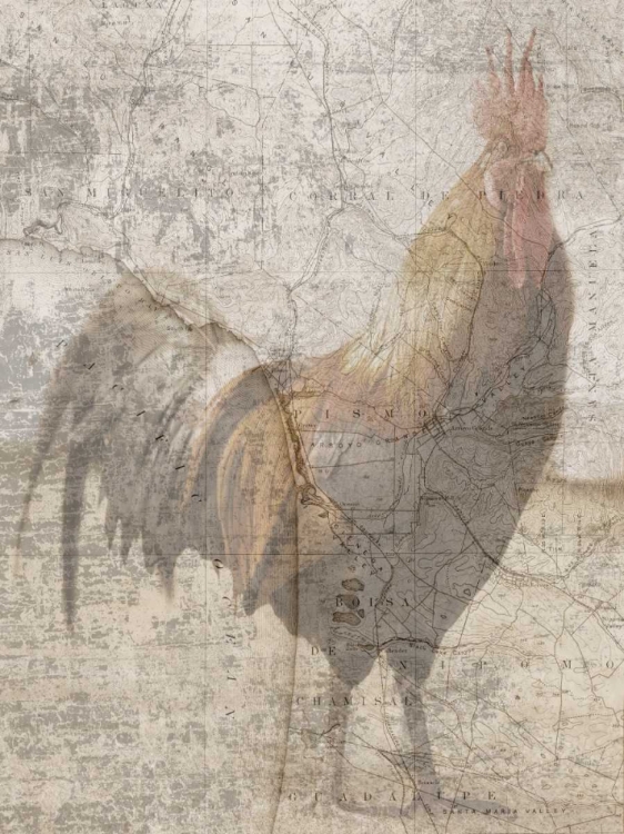 Picture of TRAVELING ROOSTER 2