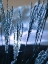 Picture of BLUE SUNSET 3