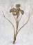 Picture of EARTH BALANCE 3