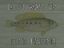 Picture of FISHING