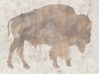 Picture of BISON