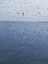 Picture of RAIN DROPS