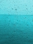 Picture of TEAL RAIN DROPS
