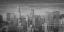 Picture of BIG APPLE BW