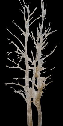 Picture of TWIN TWIGS