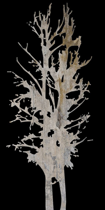 Picture of TWIN TWIGS 2