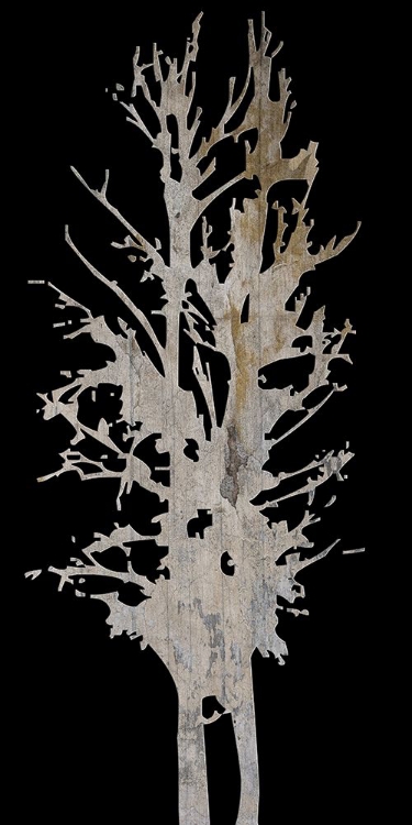 Picture of TWIN TWIGS 2