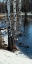 Picture of BLUE BAYOU
