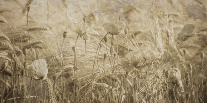 Picture of FRESH MEADOW BLOOM 2 