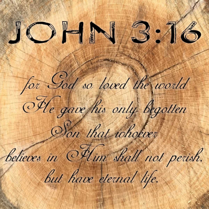 Picture of JOHN 3-16