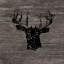 Picture of BUCK