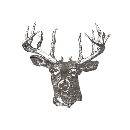 Picture of BIG BUCK