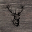Picture of ANOTHER BUCK